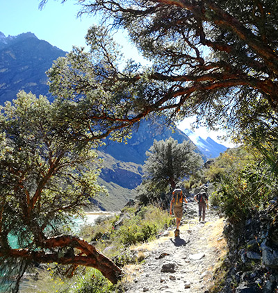 Camino Inca